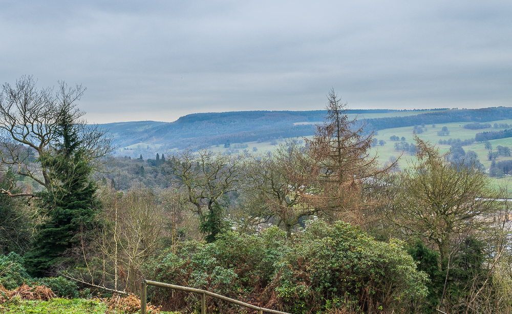 Calton Pastures